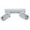surface mounted downlight